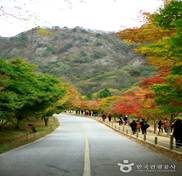 Naejangsan National Park (???????)