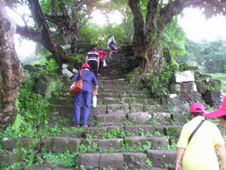 ��ӵ���ռչ�ҡ����ҡ,��ӵ��Ҵ�������;��֡������,ö俵��ǹ͹������,��ҡ���¸����ҵ�������,����ҷ���ǹ�����ǡѹ,����յ�ͧŧ�����,��������������·��͹����,���ʴ���͹����,��������⢧�������ҡ���,��Ҵ�������ҡ�,����������,����,ʹء�آ�ѹ��ѹ��������,����Ǥ͹����ⴹ�,��ѧ�������˭�ͧ��ӵ��͹����,�͹����乷��ͧ����ҷ������˭�ͧ�����