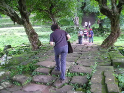 �Թ����ŧ�غ�,�Թ�غŵ��ö������,�غ�-�ӻ��ѡ-�͹����,�غ�-�Ѵ��,�͹����乷��ͧ�������������,�Ѵ������,��ռ����Ѻ�͹����,���������ռաѺ�͹����,��ͧ�������Ǩӻ��ѡ,��ǻҡ૵�ͤ͹����