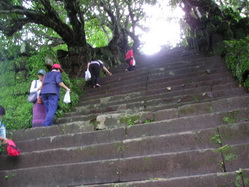 ����ҷ�Ѵ������������ҡ���ҹ���Ѵ,����ҷ�Ѵ��������,����ҷ�Ѵ��价ҧ�غ�,����ҷ�Ѵ�٢������ͧ�Թŧ�غ����,����ҷ�Ѵ����ҷҧ��ҹ��ͧ���,����ҷ�Ѵ�ٵ�ͧ��ҹ�ҡ�,���ᾢ�ҹ¹�����任���ҷ�Ѵ��,����ҷ�Ѵ�ٻ���ҷ�Թ��ҳ,����ҷ�Ѵ������Ũҡ�ҡૹѡ