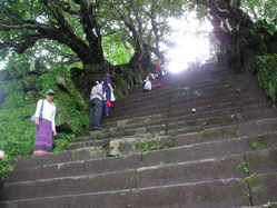 ��������-��ӵ��Ҵ����,��������-����,��������-��ӵ��Ҵ���ͧ,��������-��ӵ��Ҵ�ҹ,��������-�ӻ��ѡ,��������-��ҹ�ѵ���,��������-��ҹ��ͧ���,��������-��ҹ��Ǻ��,��������-�Ѳ��������,��������-����,��������-�ء�����,��������-˹ͧ���,��������-��������,��������-�Թ������,�������Ǫ����Ե������,�������Ƿ�ͧᴹʧ��ͧ���,�������Ǫ��Զ����