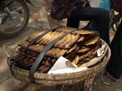 ����٪� : ���´��� : �������駢ͧ���