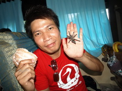 ����٪� : ���´��� : ��������