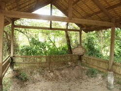 ����٪� : ���´��� : ����Ⱦ���