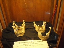 ����٪� : ���´��� : �ѹ����˧�͡�����