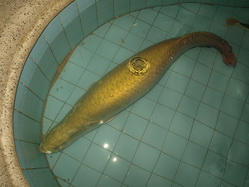 ����٪� : ���´��� : ������