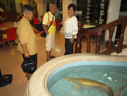 ����٪� : ���´��� : ���ҹ���������