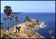 �����ѧ�� ������������